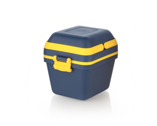 The Lunch Box