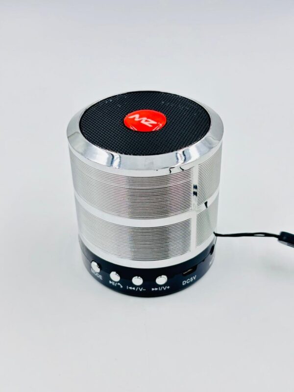 MZ speaker-ws-887